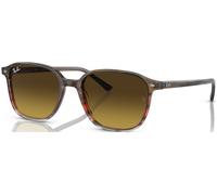 Ray-Ban Leonard RB2193 C53 138085