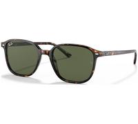 Occhiali da Sole Ray-Ban Leonard RB 2193 (902/31)