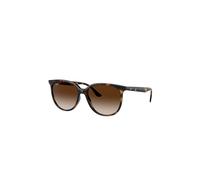RAY BAN Occhiali da sole 0RB4378/54 marrone