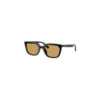 RAY BAN Occhiali da sole 0RB4439D/54 nero