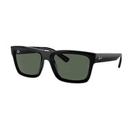 RAY-BAN - WARREN - RB4396 - 667771 - 57