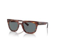 Ray-Ban - Phil Occhiali da sole - - Accessories - unisex - Marrone - ONE SIZE