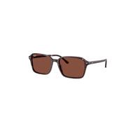 RAY-BAN - RAIMOND - RB2231 - 1416C5 - 56