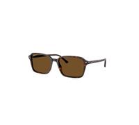 Ray-Ban Raimond RB 2231 (902/57)