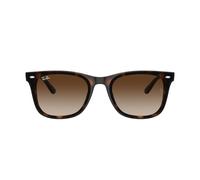 Occhiali da Sole Ray-Ban RB4420 710/13 - 65/18/145