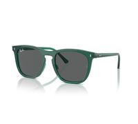 Ray-Ban RB 2210 (6615B1)