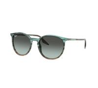 Ray-Ban RB2204 1394GK