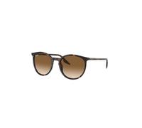 Occhiali da Sole Ray-Ban RB2204 902/51 - 51/20/145