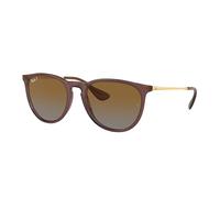 Ray-Ban RB4171 6593T5 54 Erika Dark Brown