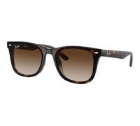 RAY-BAN - RB4420 - 710/13 - 65