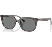 Ray-Ban RB4439D C54 667587