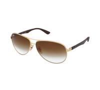 Ray-Ban RB8313 001/51