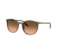 Ray - Ban Unisex Ray - Ban RB2204 13953B Occhiali da sole Acetato Marrone Rosa Pantos Normale Sfumato