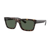 RAY-BAN - WARREN - RB4396 - 135971 - 57