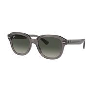 Ray-Ban Erik RB 4398 667571 53 Occhiali da Sole