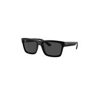 RAY-BAN - WARREN - RB4396 - 667787 - 57