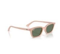 Occhiali da Sole Ray-Ban Zaya RB4456 681182 - 53/19/145