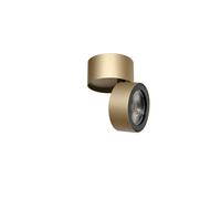 Ray Spot 15W Oro
