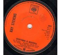 RAY STEVENS - EVERYTHING IS BEAUTIFUL - 7 inch vinyl / 45