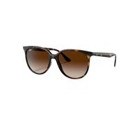 Rayban - Occhiali da sole lifestyle - RB4378 Polished Havana Gradient Brown - Marrone Marrone