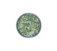 Rayher 1407000 Rocailles, madreperla, 2,6 mm, barattolo da 17 g, toni verdi