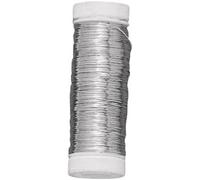 RAYHER 2403600 Filo d' Argento con Anima in Rame, 0,25 mm Ã ž, Bobina 100 m (r4k