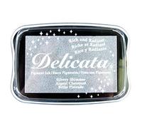 Rayher 29187606 Tampone Delicata Metallic, argento, 9,9x6,8x1,9cm, mis. L