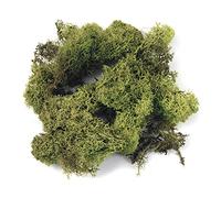 Rayher 8503211 Muschio Islandese in Sacchetto, Muschio Naturale per Decorazioni, Bricolage, Modellistica, Decori per Natale o Pasqua, Verde Chiaro, 100 gr