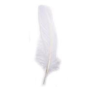 Rayher 85461102 - Confezione da 8 Penne in Piuma D'Oca, 16-20 cm, Colore: Bianco