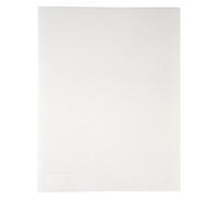 Rayher - 89595102 - Pellicola di plastica termoretraibile, 262x202mm, SB-Btl 6Stück, Bianco