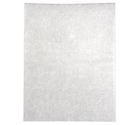 Rayher 89595701 Pellicola di Plastica Termoretraibile, 262X202Mm, 6 Fogli, Color Gelo, Bigiotteria Ciondoli Portachiavi Calamite da Frigo