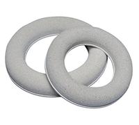 Rayher Anello Spugna per Fiori Secchi, 20 Cm, con Base, 3366000