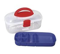 Rayher Contenitore Portaoggetti con Coperchio e Manico, con Inserto A Scomparti, 27.8 x 12.1 x 13.1 cm, per Organizzare e Sistemare Gioielleria, Materiali per Cucire e Scrapbooking