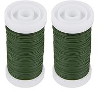 Rayher Fil di Ferro per Fiori, Verde Scuro, 0,35 Mm Ø, Spoletta 100 M, Bus.Blis 1 Pz, 2425013 (Confezione da 2)