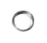 Rayher Filo Argentato C. Anima In Rame, 1,0 Mm, Busta 4 M, 1,00 Mm Ø, Busta 4 M, 2402200