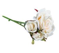 Rayher Mazzetto Rose, Bianco, 15cm