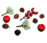 Rayher Misto Natura Con Mele E Bacche, Assortito, 2-12Cm, Bus.Blis. 11Pz, 55918000