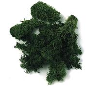 Rayher Muschio Islandese, Verde Scuro, Busta 100 G, 8503213