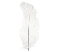Rayher Piume di Struzzo, Bianco, 30 Cm, Busta 1 Pz, 8510402