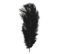 Rayher Piume di Struzzo, Nero, 30 Cm, Busta 1 Pz, 8510401