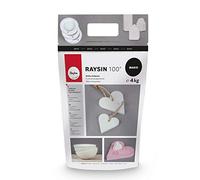 Rayher Raysin 100 Polvere di Ceramica, Gesso da Colare, Sacchetto 4 kg,