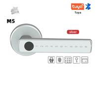 RAYKUBE M5 Tuya BLE Serratura Intelligente per Impronte Digitali Serratura Elett