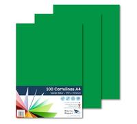 RAYLU PAPER A4 Coloured Cardstock - 100 Pieces Coloured Sheets 180gsm 210x297mm Coloured Paper for Office and Crafts (Verde biliardo)
