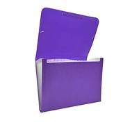 Raylu Paper® - Cartella classificatrice a fisarmonica per documenti a 12 scomparti, raccoglitore in plastica opaca con divisori per ufficio (Viola)
