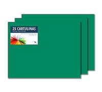 RAYLU PAPER - Cartoncini Colorati 50 x 65 cm, 25 Pezzi Fogli Colorati 180g/m², Carta Colorata Proffesionale per l’ufficio e per l'artigianato (Verde Pino)