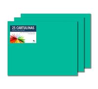 RAYLU PAPER - Cartoncini Colorati 50 x 65 cm, 25 Pezzi Fogli Colorati 180g/m², Carta Colorata Proffesionale per l’ufficio e per l'artigianato (Verde Menta)