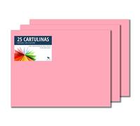 RAYLU PAPER - Cartoncini Colorati 50 x 65 cm, 25 Pezzi Fogli Colorati 180g/m², Carta Colorata Proffesionale per l’ufficio e per l'artigianato (Rosa)