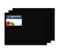 RAYLU PAPER - Cartoncini Colorati 50 x 65 cm, 25 Pezzi Fogli Colorati 180g/m², Carta Colorata Proffesionale per l’ufficio e per l'artigianato (Nero)