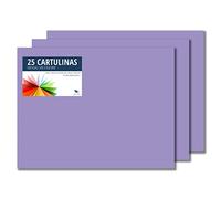 RAYLU PAPER - Cartoncini Colorati 50 x 65 cm, 25 Pezzi Fogli Colorati 180g/m², Carta Colorata Proffesionale per l’ufficio e per l'artigianato (Viola)