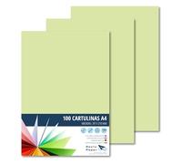 RAYLU PAPER - Cartoncini Colorati A4, 100 Pezzi Fogli Colorati 180g/m², 210 x 297 mm, Carta Colorata Proffesionale per l’ufficio e per l'artigianato (Verde Mela)